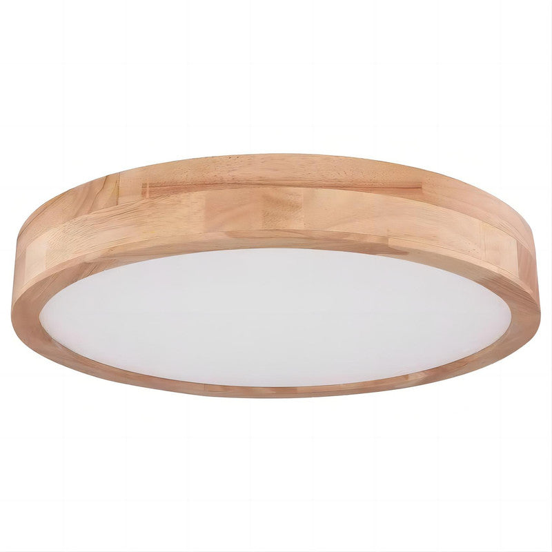 Rainer LED Ceiling Light