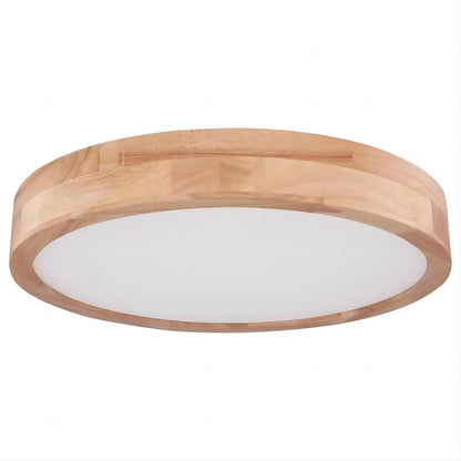 Rainer LED Ceiling Light